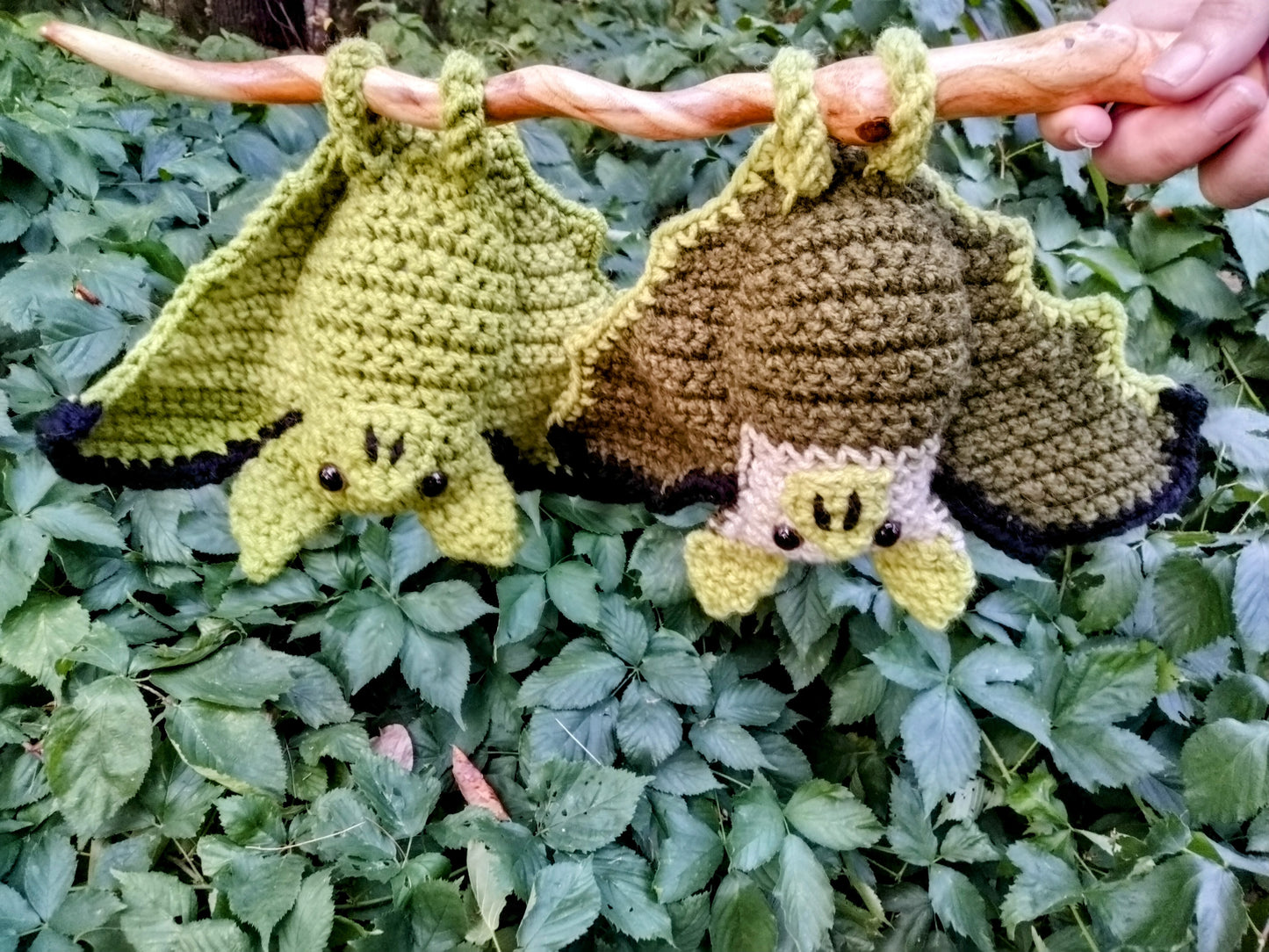 Pistachio Bats