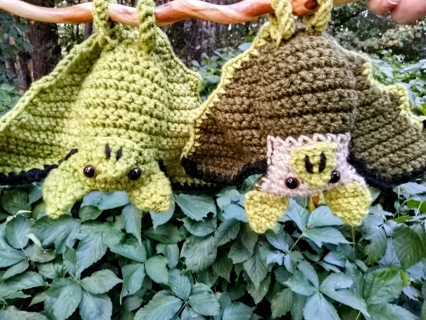 Pistachio Bats